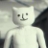 Yhbp