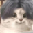 孟